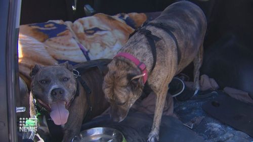 Yates left with the clothes on her back and her dogs.