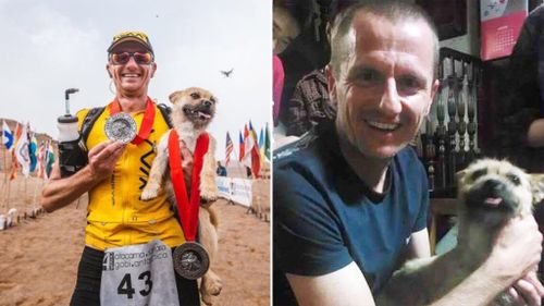 Dion Leonard befriended stray dog "Gobi" during the 2016 Gobi March 4 Deserts Race. (4 Deserts/Facebook/Bring Gobi Home)