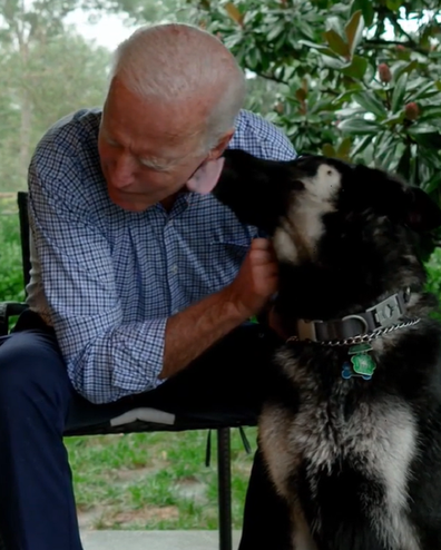 Joe and Jill Biden German Shepherd