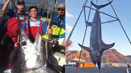 Kyle Longmore and his record 263 kg catch. (Supplied)