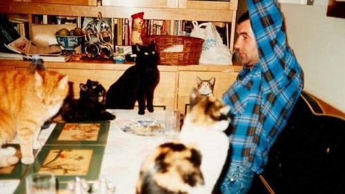 Freddie Mercury's boyfriend Jim Hutton, pictured in his kitchen.