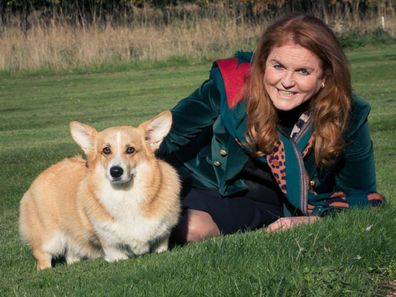 Sarah the duchess with the queens corgies