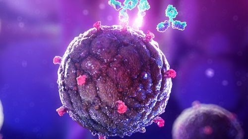 Çoklu miyelom tedavisi Avustralya.