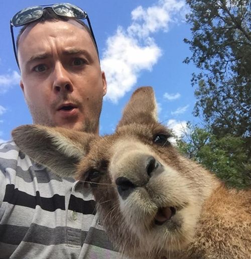 The user who posted the photo says the kangaroo made the funny face when he saw himself on the screen. (Reddit)