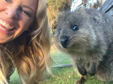 Quokka selfies are harder than they look apparently...