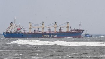 The ship sits off Cronulla Beach with tugs standing by. 