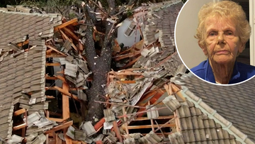 An Adelaide woman whose home was squashed by a massive tree in a storm 18 months ago has won a David and Goliath battle with her insurance company.