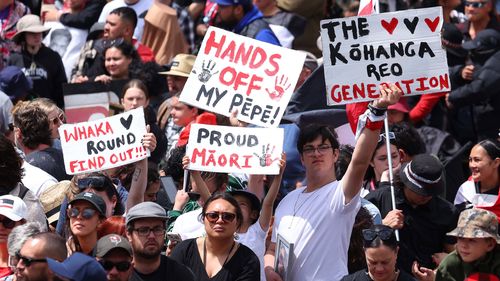 Hikoi members gather in Parliament on November 19, 2024 in Wellington, New Zealand. Hkoi has been touring New Zealand for nine days, culminating in Wellington and Parliament today, as Māori communities march to protect and advocate for an interpretation of the Treaty of Waitangi and Māori rights. 