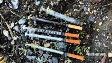 Community outraged after scores of needles found in single Adelaide reserve