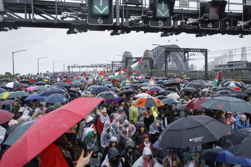 Pro-Palestinian protesters march across the Sydney Harbour Bridge to call for an end to Israel's war in Gaza. August 3, 2025.  