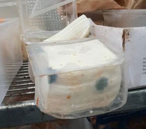 Mouldy cheese inside a fridge at the Lismore takeaway store.