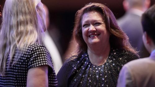 Gina rinehart afr rich list with children