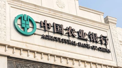 Çift, Çin Tarım Bankası'nı soymuştu.