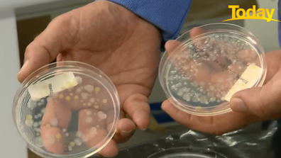 On the right are the results for the washed and ready to eat bacteria. 