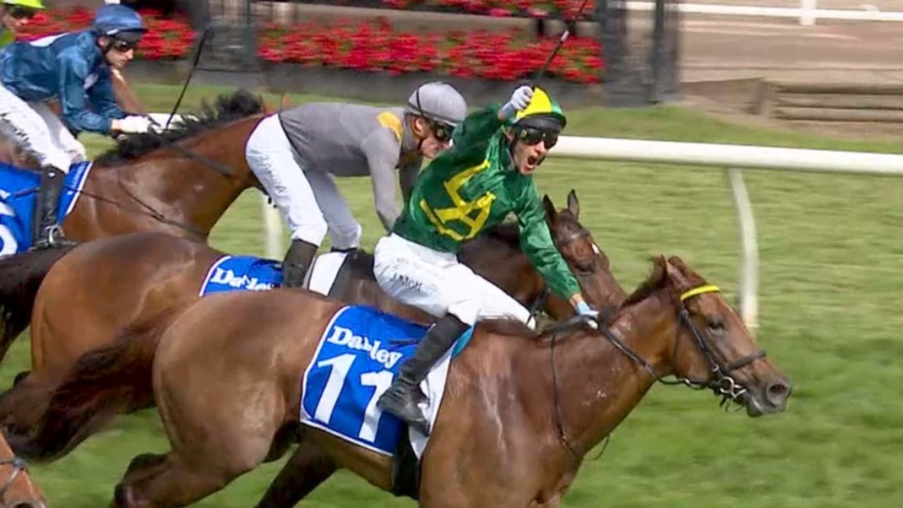 Watch Melbourne Cup Official Film 2022 - 2022 - Melbourne Cup Official Film 2022 | 9Now