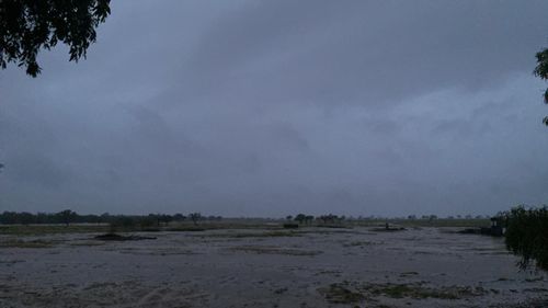 Longreach has received constant rain since midnight, one local said.