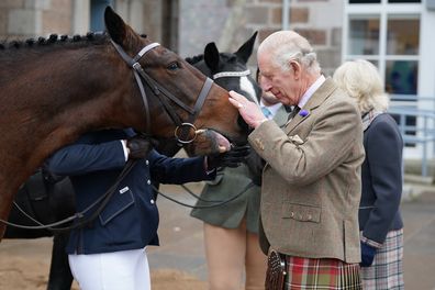 BALLATER, SCOTLAND - OCTOBER 11: King Charles III pats a horse as he and Camilla, Queen Consort attend a reception to thank the community of Aberdeenshire for their organisation and support following the death of Queen Elizabeth II at Station Square, the Victoria & Albert Halls, on 11th October, 2022 in Ballater, Scotland 