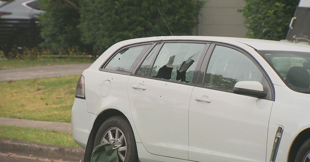 Boy and man charged after shootings in Sydney's west