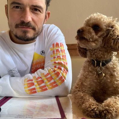 Orlando Bloom and his dog Mighty.