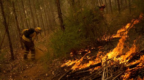 Firefighters work to extinguish flames alongside a road near Nacimiento, Chile, Saturday, Feb. 4, 2023.