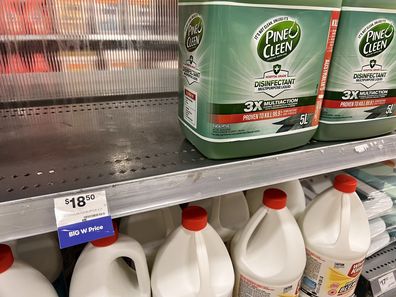 bulk cleaning products big w price comparison