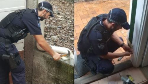 'Above and beyond': Queensland Police officers take special care of widow after home invasion