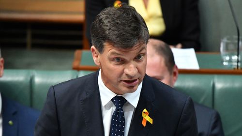 Energy Minister Angus Taylor says power companies "need to do the right thing".