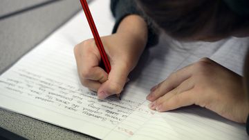 The committee has recommended a review of homework guidelines and offered to advise schools on the findings. (AAP)