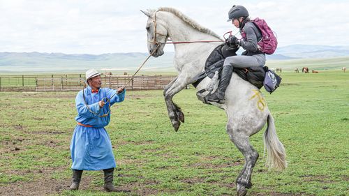 Di Pasquale said the Mongolian horses used for the race "are notorious for being semi-wild".