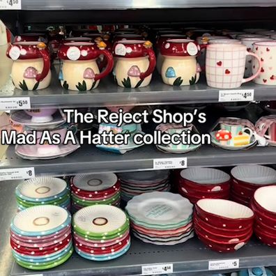 The Reject Shop Mad As A Hatter collection