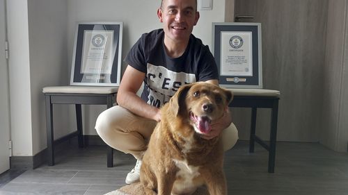 Bobi poses for a photo with his owner Leonel Costa and his Guinness World Record certificates for the oldest dog, at their home in Conqueiros, central Portugal, earlier this year.