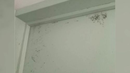 That's when the family moved into police housing, which was riddled with mould