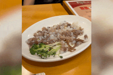 San-nakji live octopus