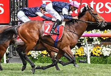 Which horse won the 2017 Melbourne Cup?