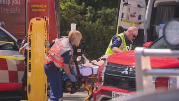 A woman has been injured after she was allegedly hit by a truck in Lilyfield, Sydney.