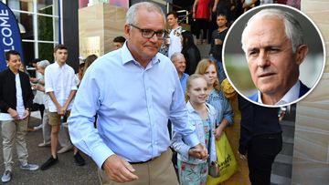 190422 Federal election 2019 Scott Morrison Malcolm Turnbull electorate polling