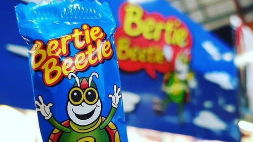 Bertie beetle chocolate