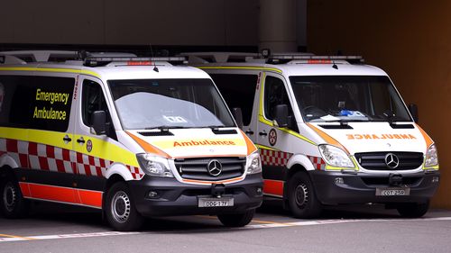 Man and woman charged over allegedly assaulting paramedics