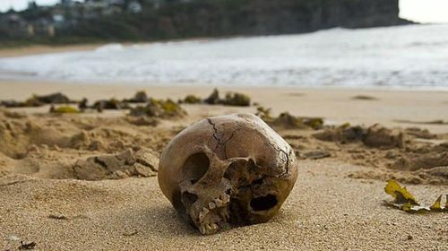 Jawbone found on Sydney beach matches 800-year-old skull