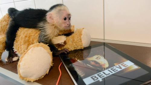 End to monkey business as Bieber pays animal importation fine