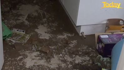The couple have started cleaning up their home but will likely have to replace the flooring, plaster and walls.