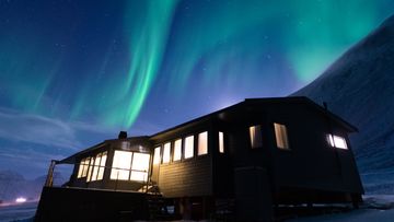 The northern lights in Svalbard can be seen during the polar nights in winter.