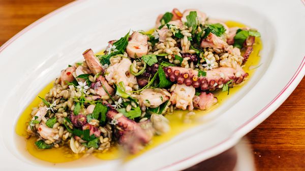 Massimo Mele&#x27;s octopus, barley, garlic, chilli salad