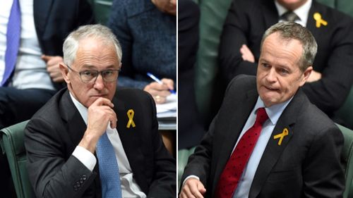 Opposition Leader Bill Shorten to recommend colleagues oppose Turnbull's plebiscite bill