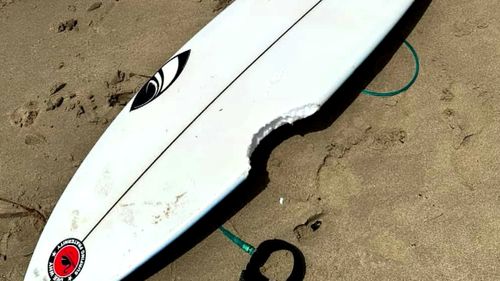 As autoridades disseram que um tubarão arrancou um pedaço estimado de 15 centímetros da prancha de surf do menino na praia Dee Why, perto de Dee Why Point, por volta das 11h45 de hoje. 