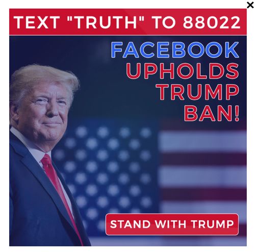 The image posted on Donald Trump's new blog after Facebook upheld his ban.