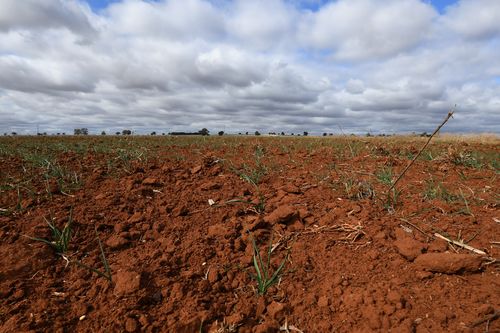 The drought also looks to continue for some time as the warmer months approach.