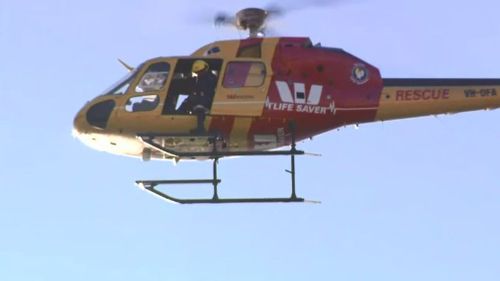 The search was run from land, sea and air. (9NEWS)