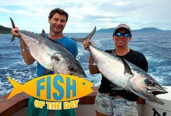 Fish Of The Day