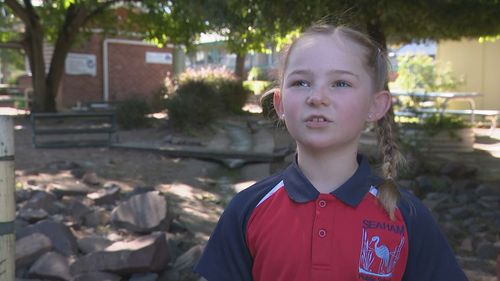 Seven-year-old Meila Haynes peered into her lunchbox and spotted the venomous reptile.